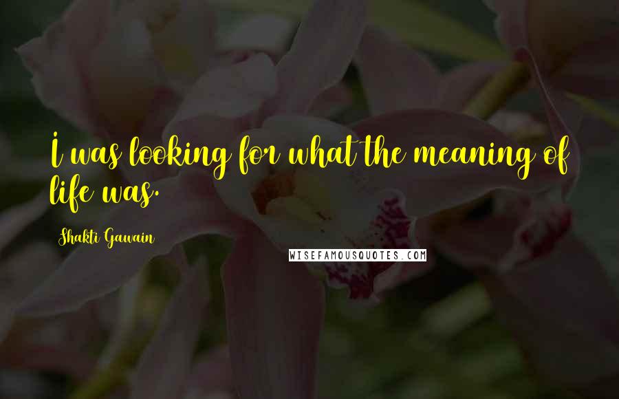 Shakti Gawain quotes: I was looking for what the meaning of life was.