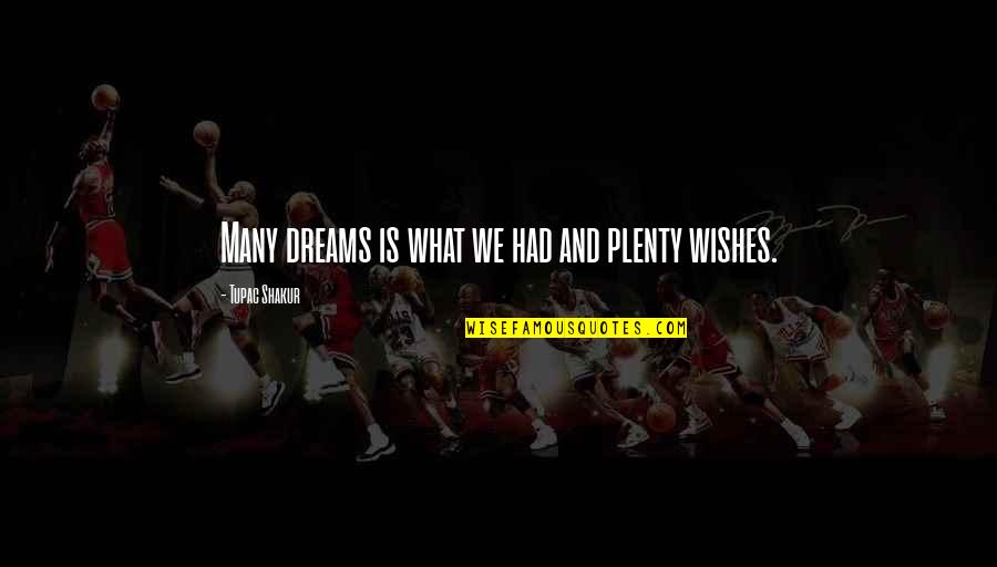 Shakur Quotes By Tupac Shakur: Many dreams is what we had and plenty