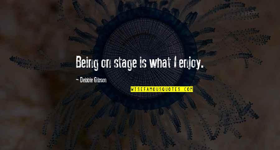 Shaleen Surtie Richards Quotes By Debbie Gibson: Being on stage is what I enjoy.