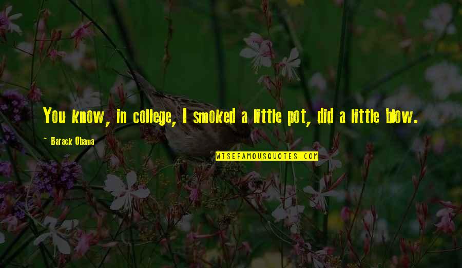 Shalehan Quotes By Barack Obama: You know, in college, I smoked a little