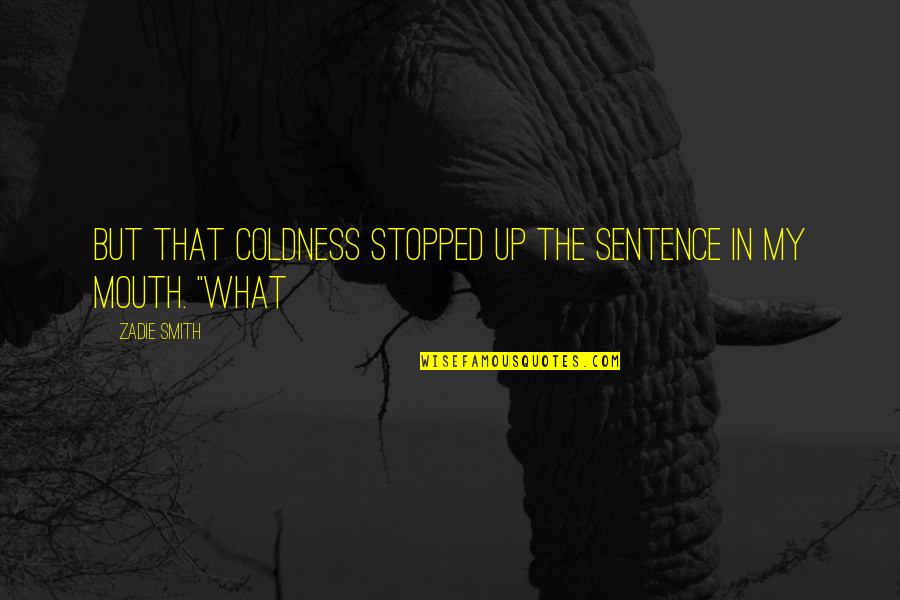 Shallcome Quotes By Zadie Smith: but that coldness stopped up the sentence in