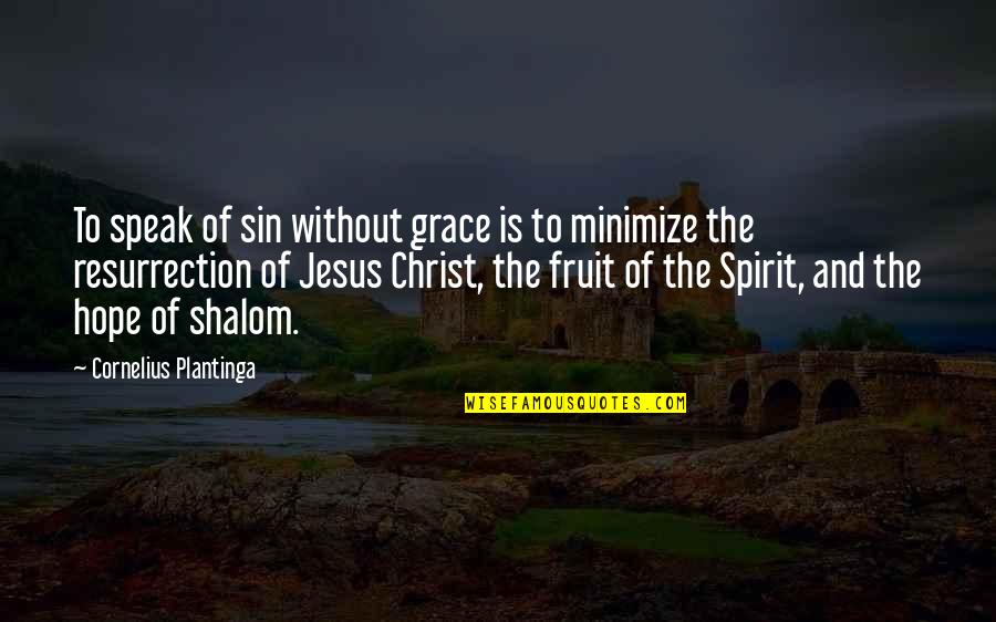 Shalom Quotes By Cornelius Plantinga: To speak of sin without grace is to