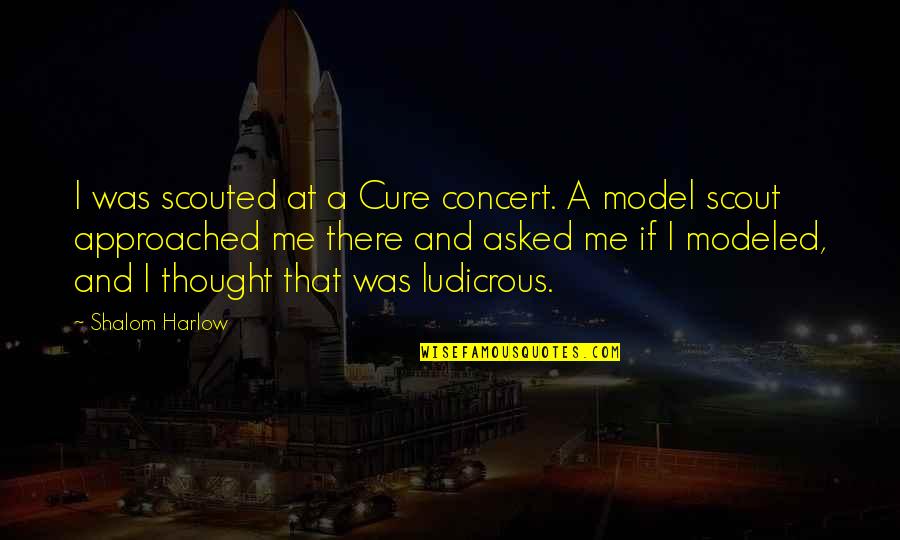 Shalom Quotes By Shalom Harlow: I was scouted at a Cure concert. A Shalom Quotes By Shalom Harlow: I was scouted at a Cure concert. A