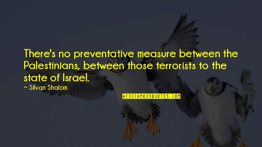 Shalom Quotes By Silvan Shalom: There's no preventative measure between the Palestinians, between Shalom Quotes By Silvan Shalom: There's no preventative measure between the Palestinians, between