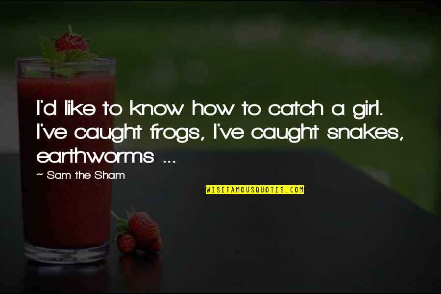 Sham Quotes By Sam The Sham: I'd like to know how to catch a