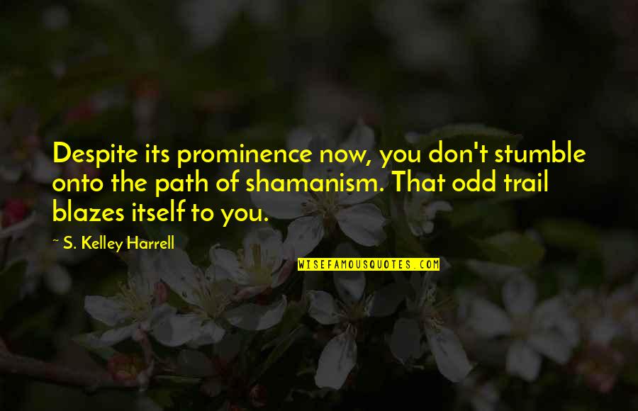 Shamanism Quotes By S. Kelley Harrell: Despite its prominence now, you don't stumble onto