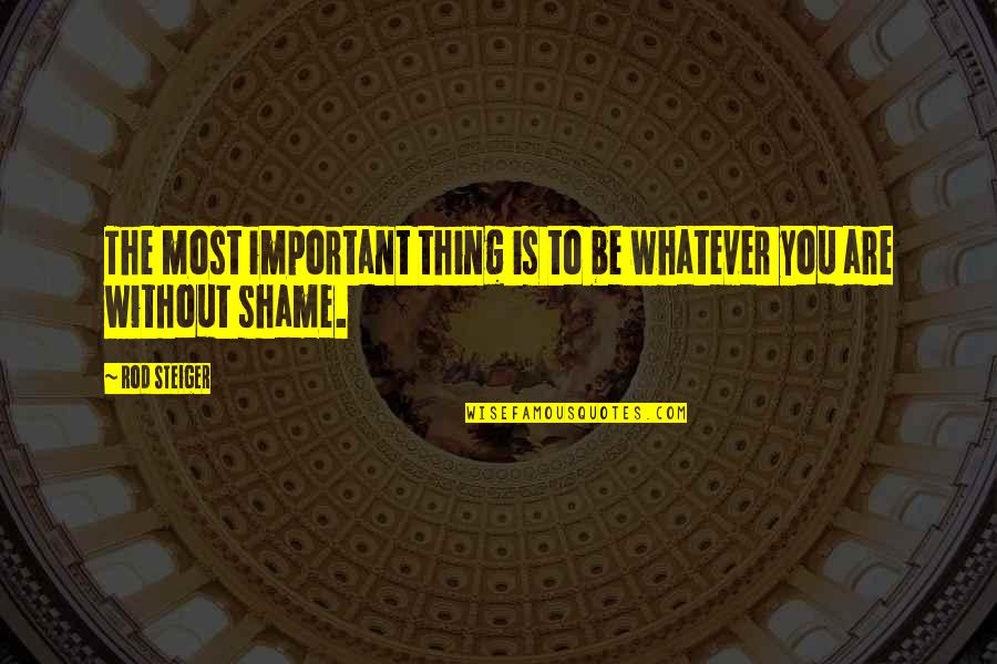 Shame Is Quotes By Rod Steiger: The most important thing is to be whatever
