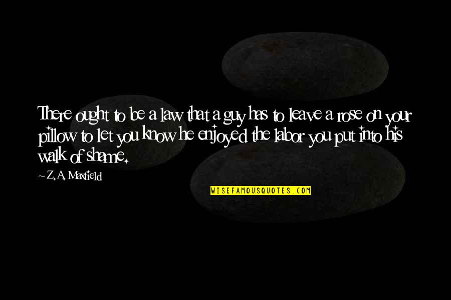 Shame Of You Quotes By Z.A. Maxfield: There ought to be a law that a Shame Of You Quotes By Z.A. Maxfield: There ought to be a law that a