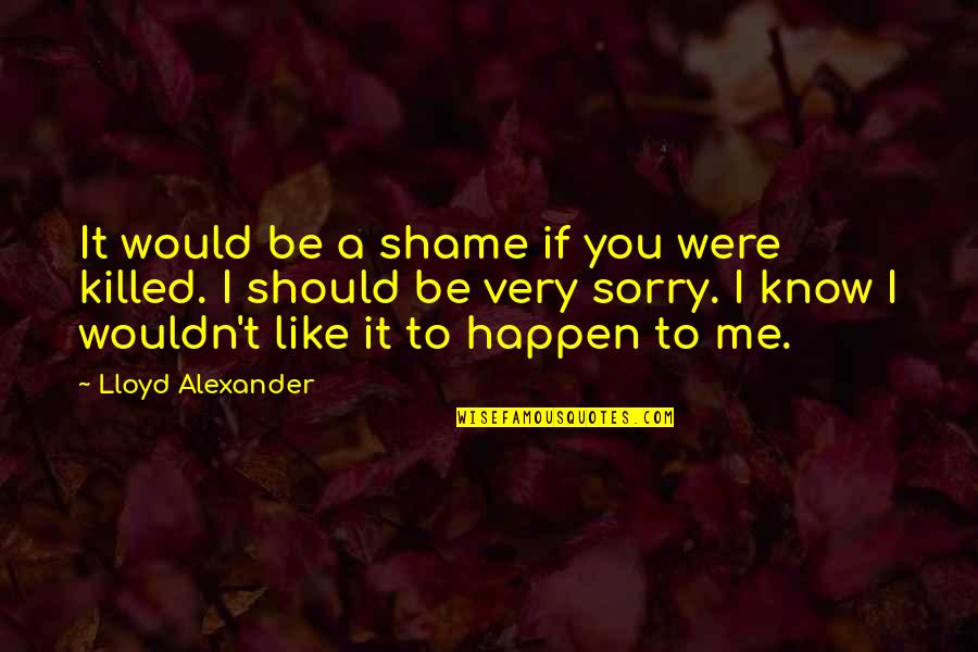 Shame On Me Quotes By Lloyd Alexander: It would be a shame if you were