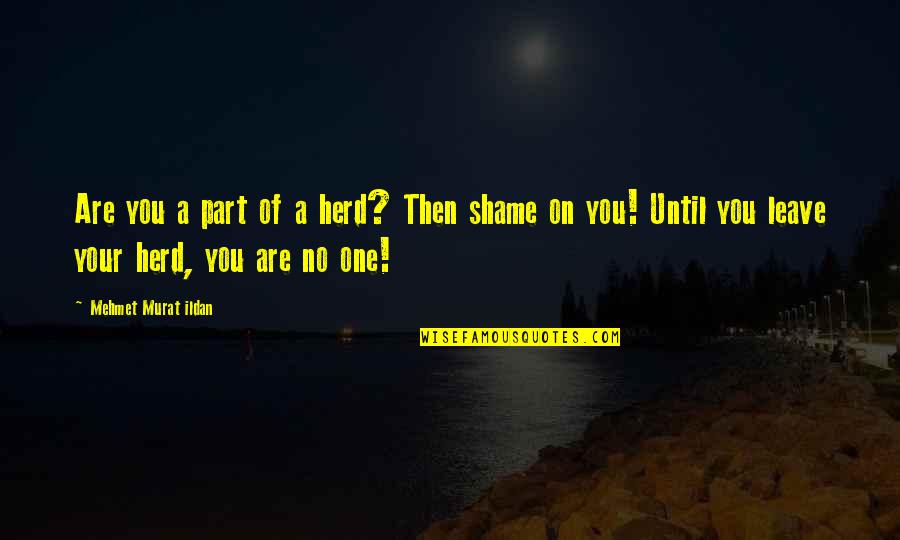 Shame On You Quotes By Mehmet Murat Ildan: Are you a part of a herd? Then Shame On You Quotes By Mehmet Murat Ildan: Are you a part of a herd? Then