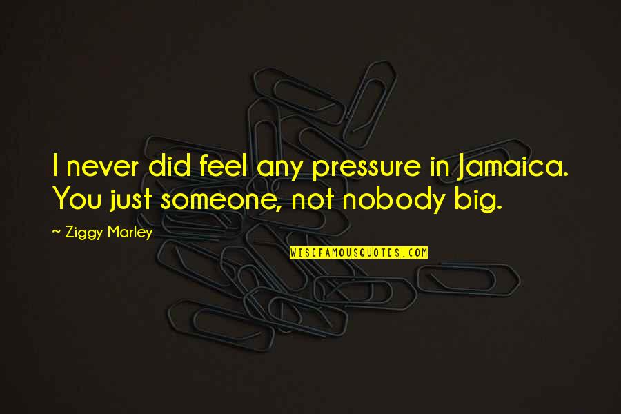 Shammas Law Quotes By Ziggy Marley: I never did feel any pressure in Jamaica.