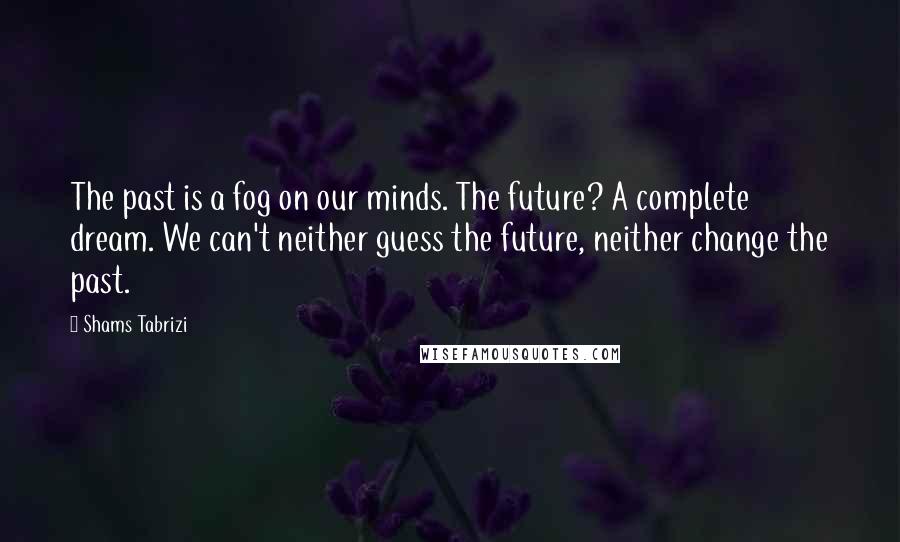 Shams Tabrizi quotes: The past is a fog on our minds. The future? A complete dream. We can't neither guess the future, neither change the past. Shams Tabrizi quotes: The past is a fog on our minds. The future? A complete dream. We can't neither guess the future, neither change the past.