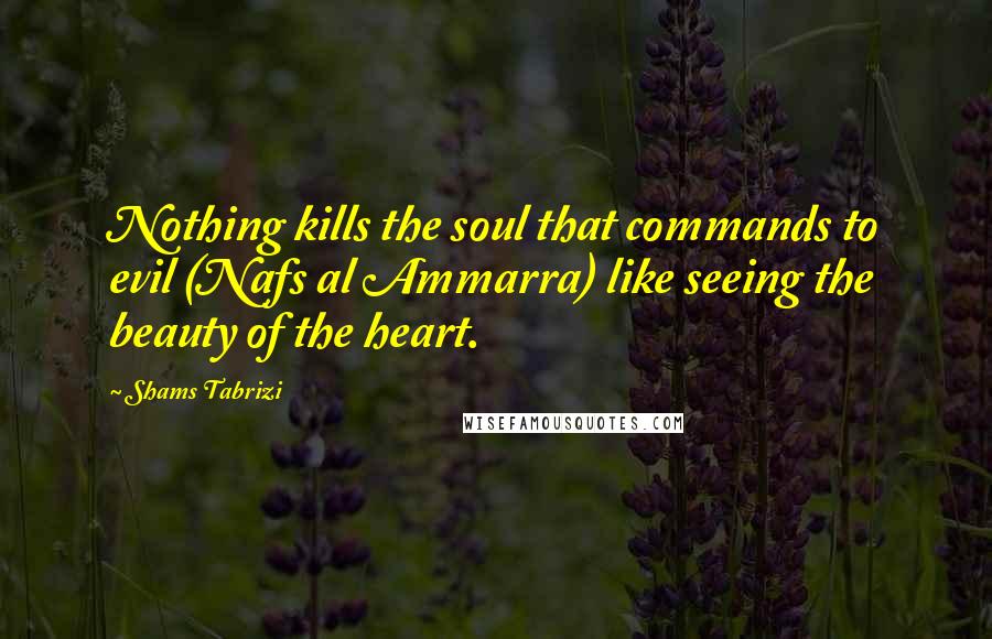 Shams Tabrizi quotes: Nothing kills the soul that commands to evil (Nafs al Ammarra) like seeing the beauty of the heart.