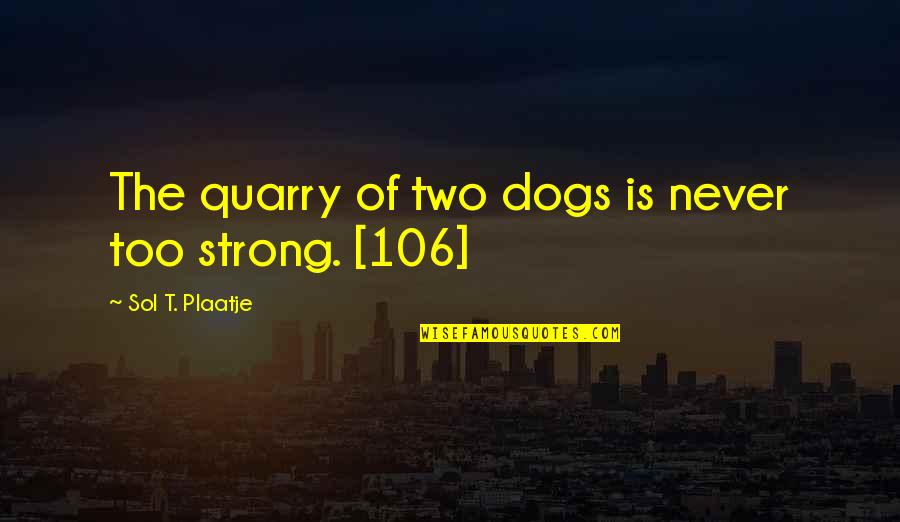 Shanae Johnson Quotes By Sol T. Plaatje: The quarry of two dogs is never too