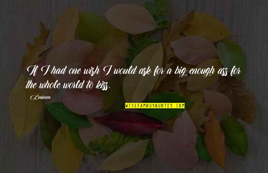 Shandrani Beachcomber Quotes By Eminem: If I had one wish I would ask