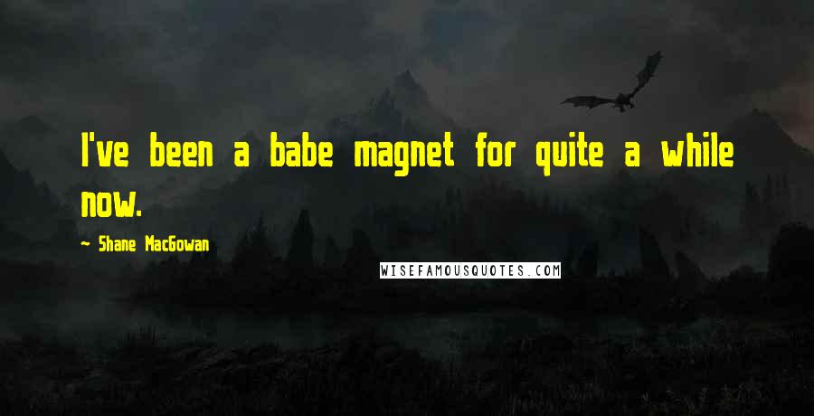 Shane MacGowan quotes: I've been a babe magnet for quite a while now.
