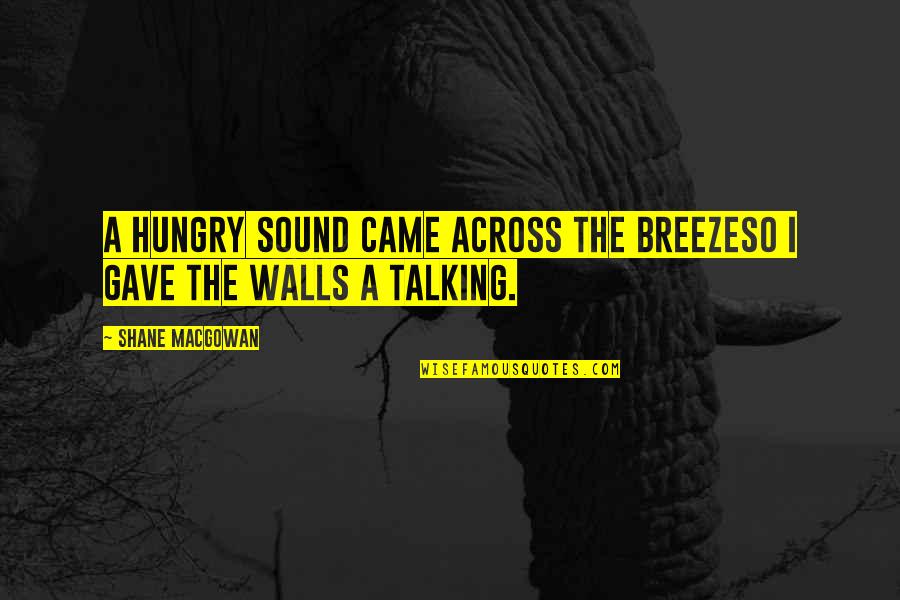 Shane Macgowan Quotes By Shane MacGowan: A hungry sound came across the breezeSo I
