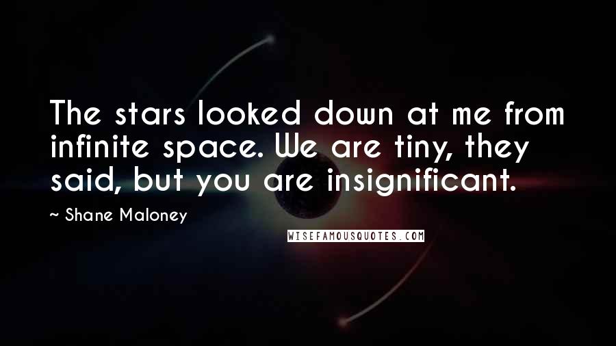 Shane Maloney quotes: The stars looked down at me from infinite space. We are tiny, they said, but you are insignificant.