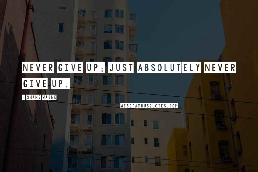 Shane Warne quotes: Never give up; just absolutely never give up.