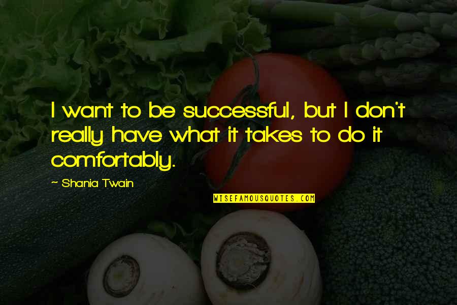 Shania Twain Quotes By Shania Twain: I want to be successful, but I don't