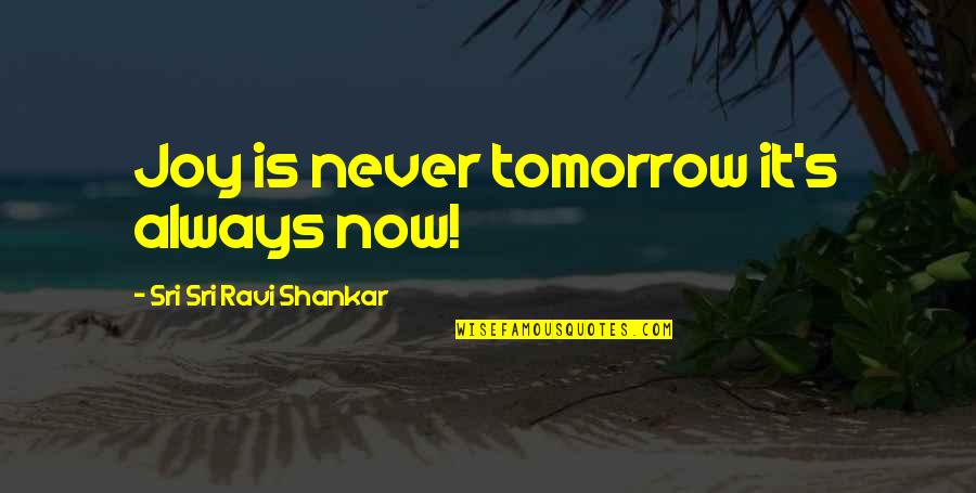 Shankar's Quotes By Sri Sri Ravi Shankar: Joy is never tomorrow it's always now! Shankar's Quotes By Sri Sri Ravi Shankar: Joy is never tomorrow it's always now!