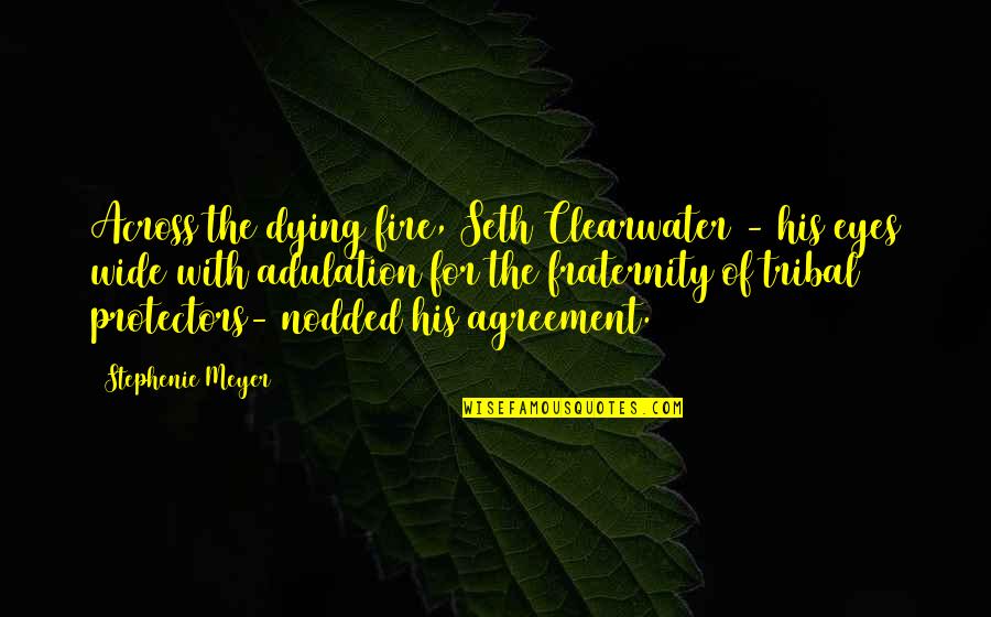 Shankster Quotes By Stephenie Meyer: Across the dying fire, Seth Clearwater - his