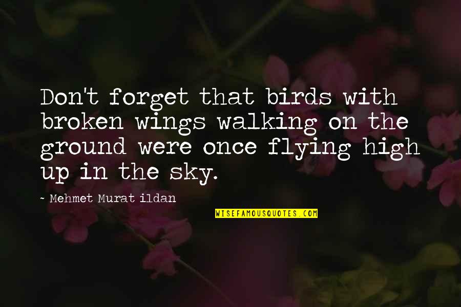 Shanley Mcintee Quotes By Mehmet Murat Ildan: Don't forget that birds with broken wings walking Shanley Mcintee Quotes By Mehmet Murat Ildan: Don't forget that birds with broken wings walking
