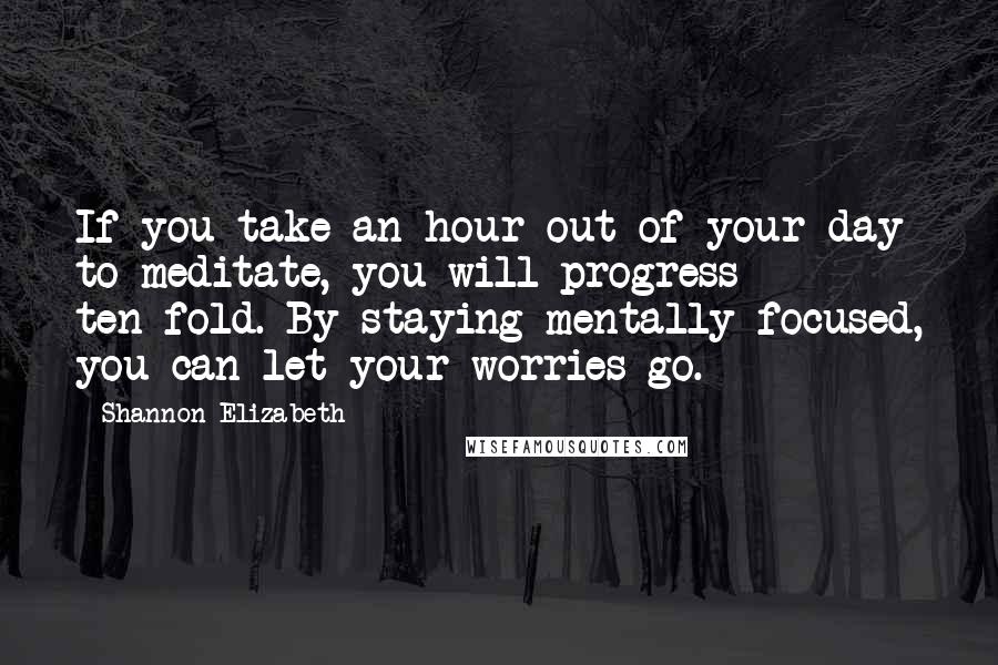 Shannon Elizabeth quotes: If you take an hour out of your day to meditate, you will progress ten-fold. By staying mentally focused, you can let your worries go.