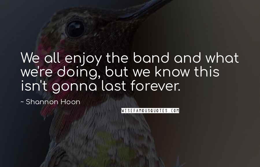 Shannon Hoon quotes: We all enjoy the band and what we're doing, but we know this isn't gonna last forever.