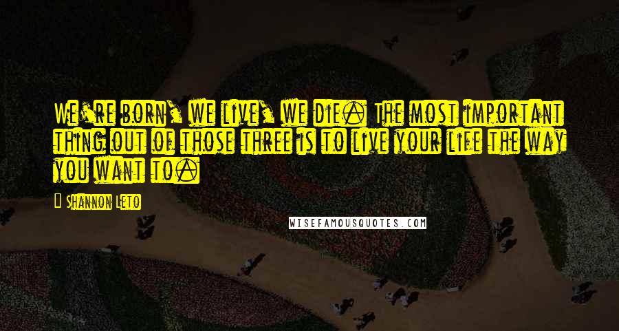 Shannon Leto quotes: We're born, we live, we die. The most important thing out of those three is to live your life the way you want to. Shannon Leto quotes: We're born, we live, we die. The most important thing out of those three is to live your life the way you want to.
