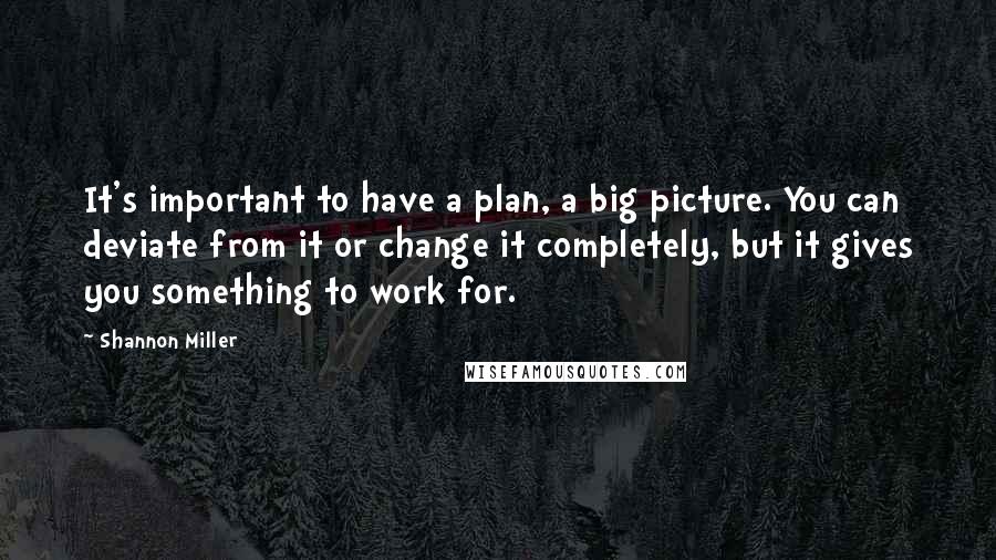 Shannon Miller quotes: It's important to have a plan, a big picture. You can deviate from it or change it completely, but it gives you something to work for.