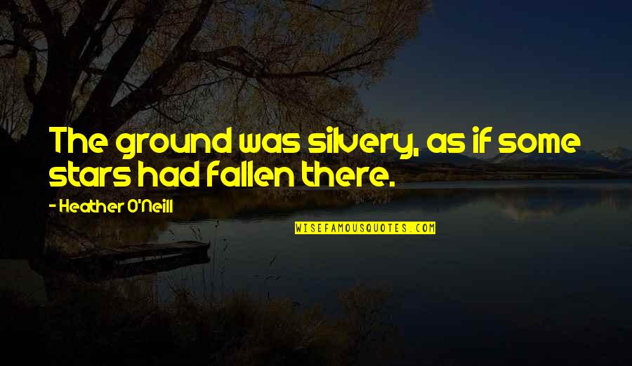 Shanrah Wakefields Birthday Quotes By Heather O'Neill: The ground was silvery, as if some stars