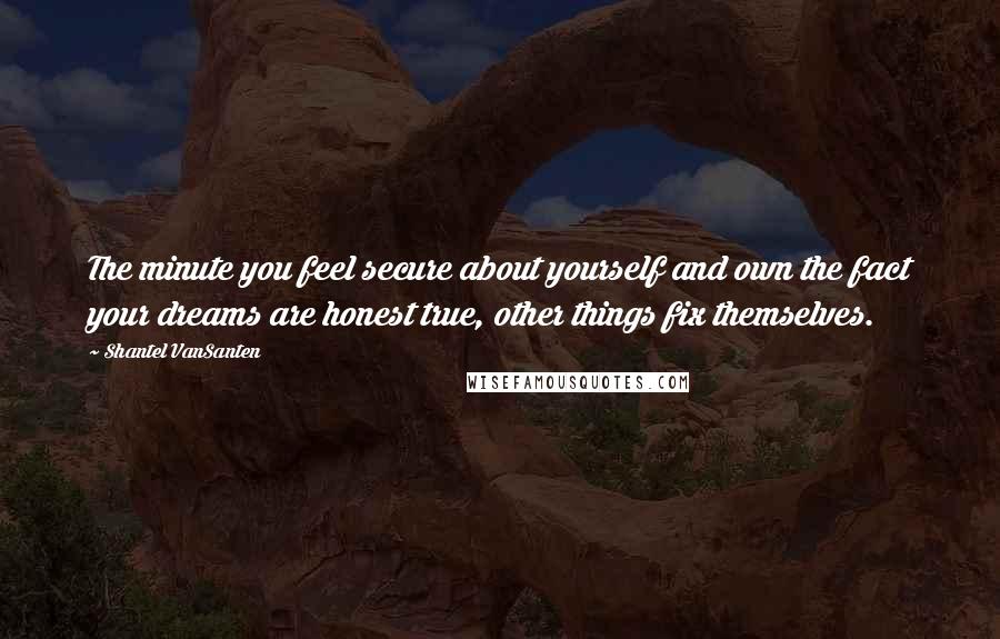 Shantel VanSanten quotes: The minute you feel secure about yourself and own the fact your dreams are honest true, other things fix themselves.