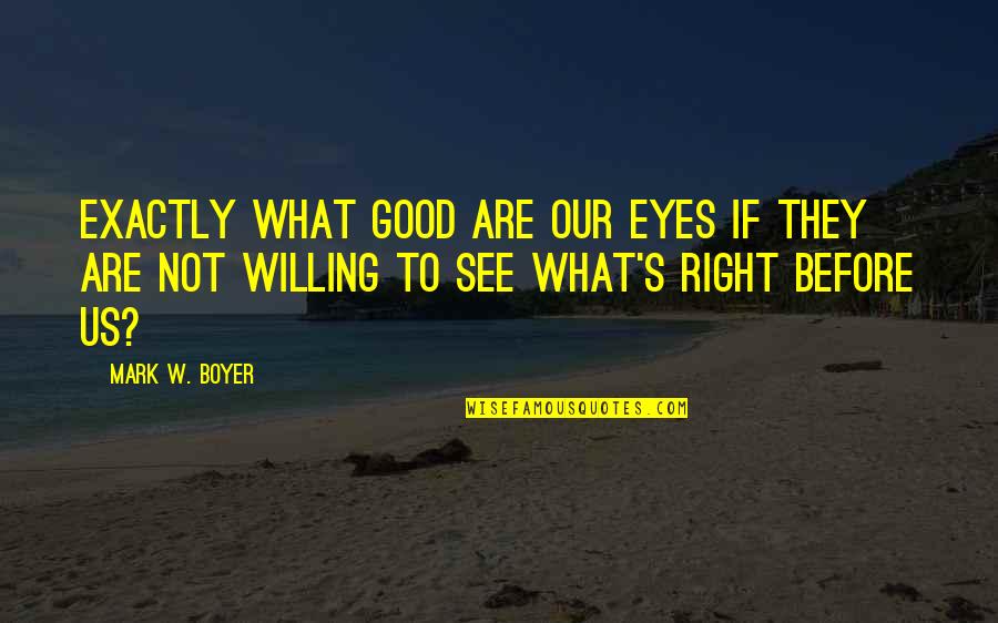 Shantha Wetterhan Quotes By Mark W. Boyer: Exactly what good are our eyes if they