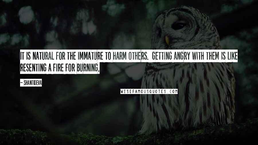 Shantideva quotes: It is natural for the immature to harm others. Getting angry with them is like resenting a fire for burning.