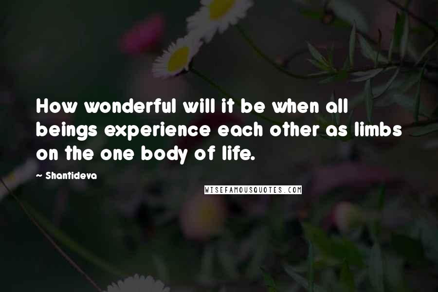 Shantideva quotes: How wonderful will it be when all beings experience each other as limbs on the one body of life.