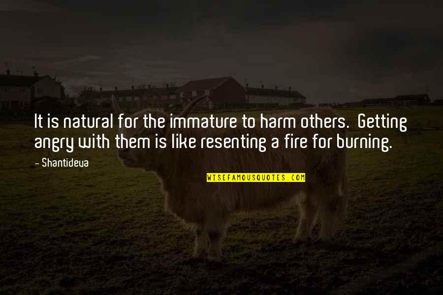 Shantideva Quotes By Shantideva: It is natural for the immature to harm Shantideva Quotes By Shantideva: It is natural for the immature to harm