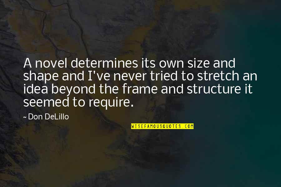 Shape And Size Quotes By Don DeLillo: A novel determines its own size and shape