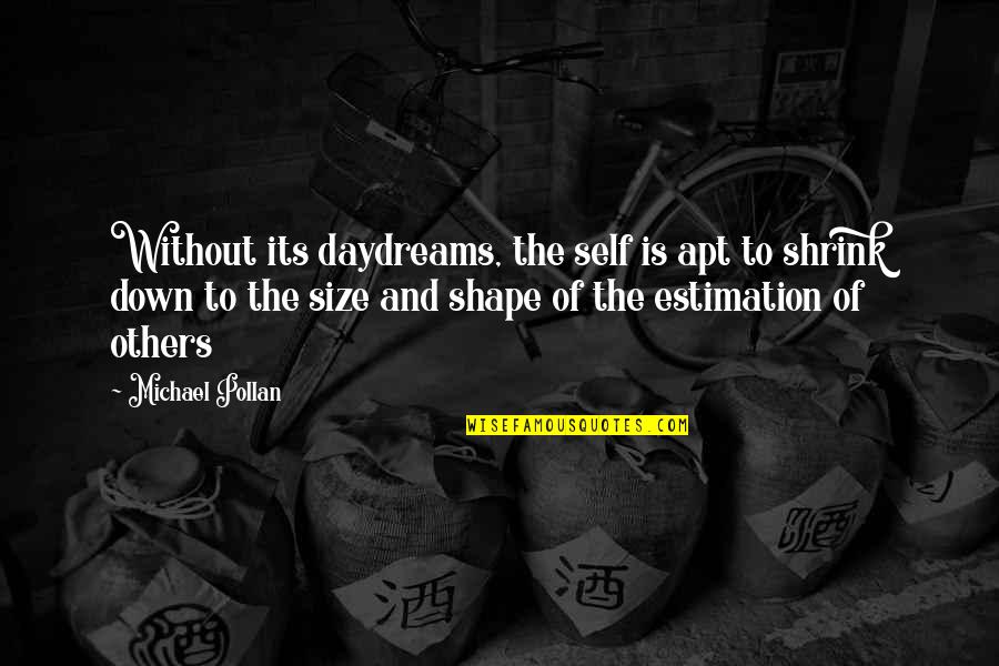Shape And Size Quotes By Michael Pollan: Without its daydreams, the self is apt to