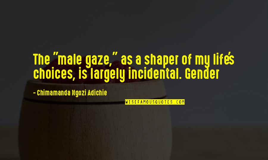 Shaper Quotes By Chimamanda Ngozi Adichie: The "male gaze," as a shaper of my