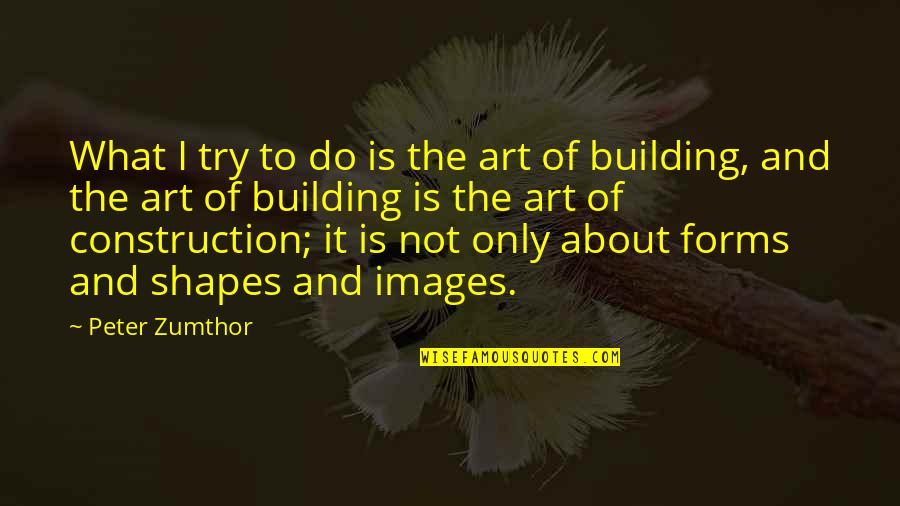 Shapes In Art Quotes By Peter Zumthor: What I try to do is the art