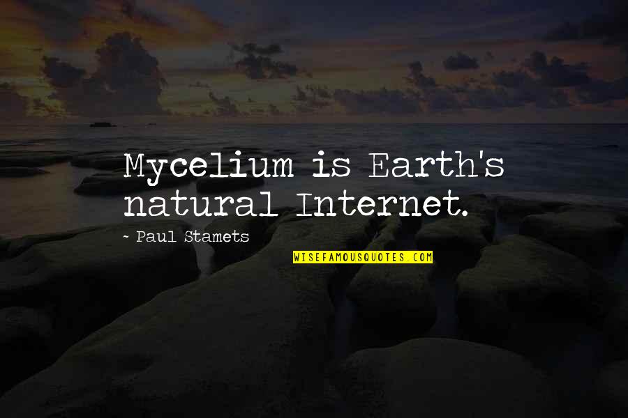 Shaquana Quotes By Paul Stamets: Mycelium is Earth's natural Internet.