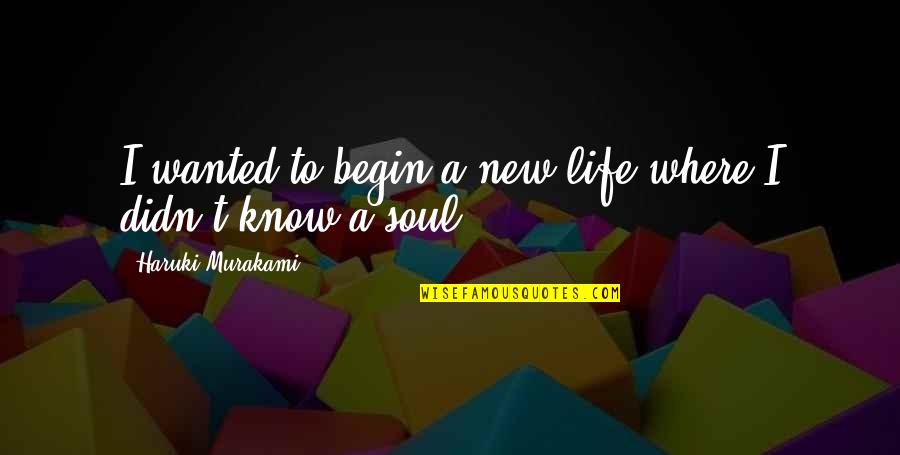 Sharah Luxury Quotes By Haruki Murakami: I wanted to begin a new life where