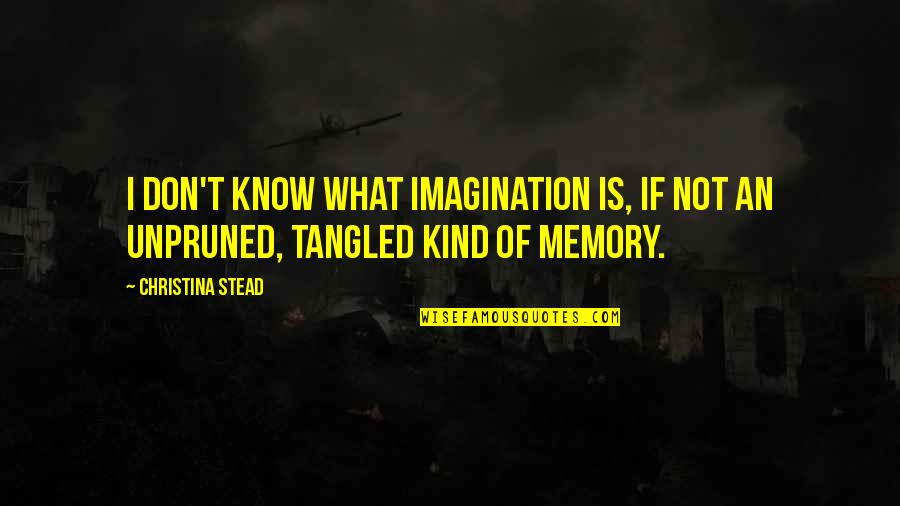 Shardblade Quotes By Christina Stead: I don't know what imagination is, if not