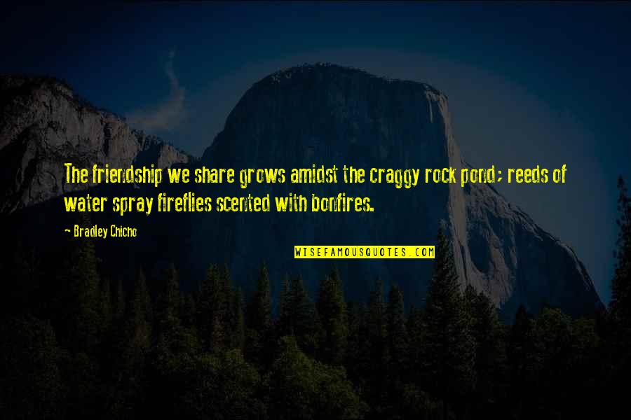 Share Quotes By Bradley Chicho: The friendship we share grows amidst the craggy