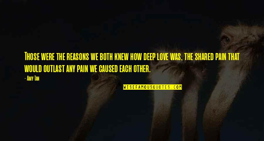 Shared Pain Quotes By Amy Tan: Those were the reasons we both knew how