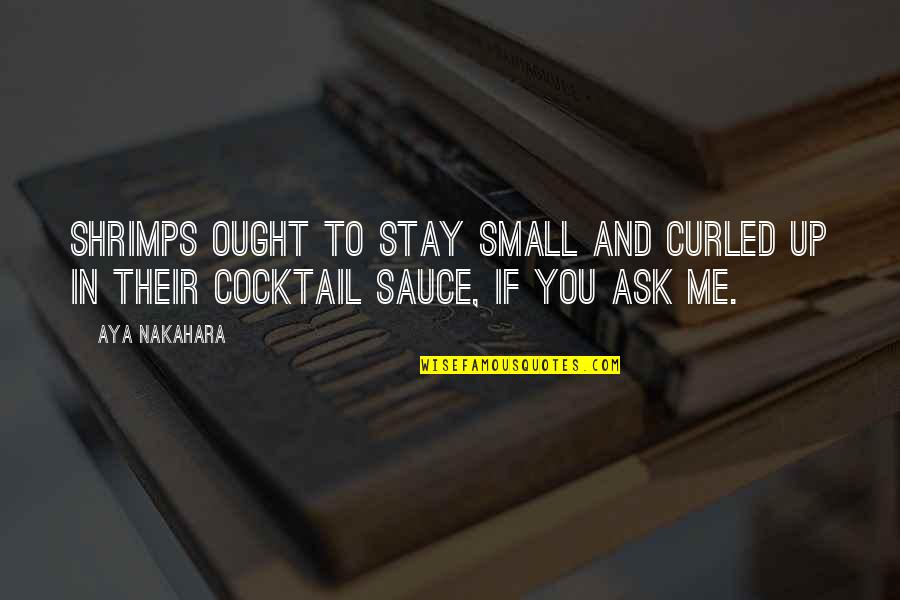 Sharella He Man Quotes By Aya Nakahara: Shrimps ought to stay small and curled up