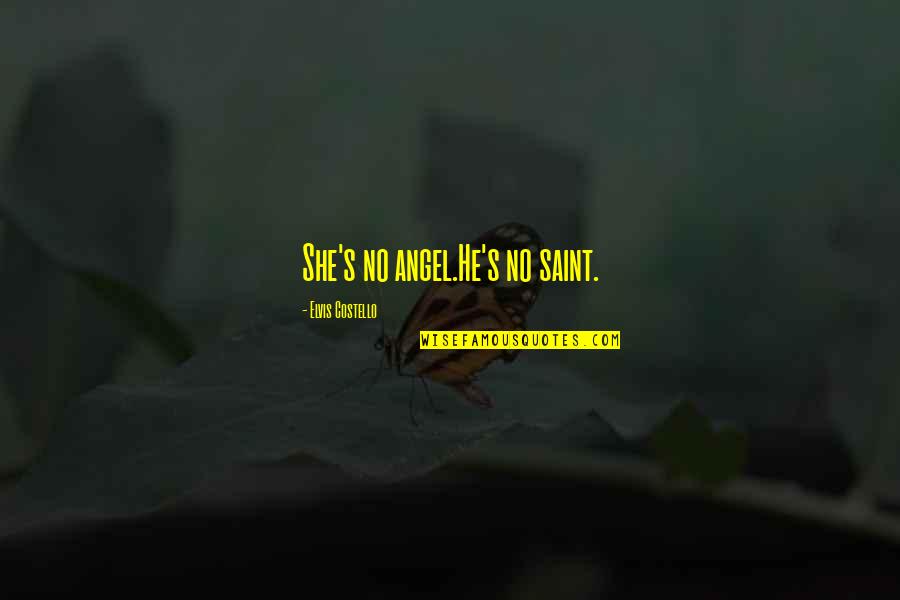 Shareowner Services Quotes By Elvis Costello: She's no angel.He's no saint. Shareowner Services Quotes By Elvis Costello: She's no angel.He's no saint.