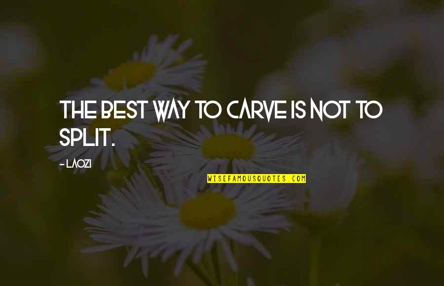 Sharfstein Johns Quotes By Laozi: The best way to carve is not to