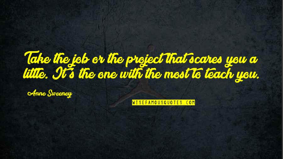 Shariati Amir Quotes By Anne Sweeney: Take the job or the project that scares Shariati Amir Quotes By Anne Sweeney: Take the job or the project that scares